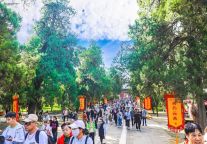 中秋国庆假期圆满收官！三孔景区迎客47万人次