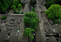 端午三天游安仁古镇，去除班味