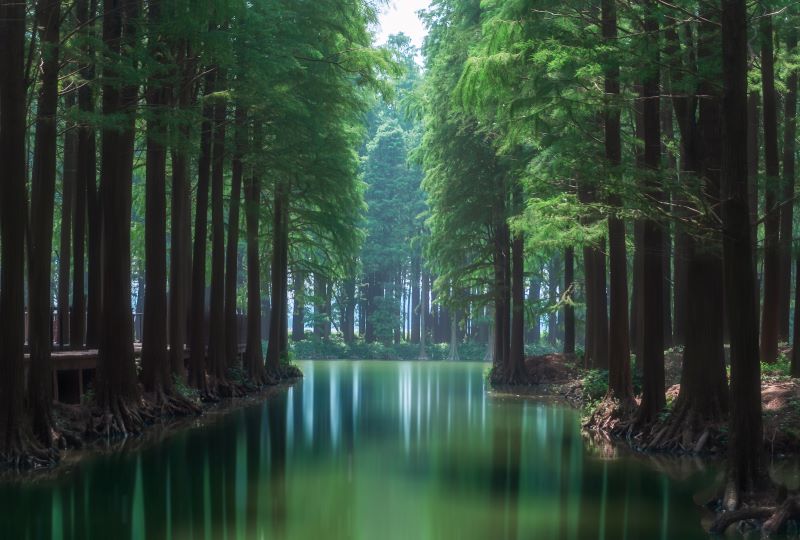 鹤舞湿地畔，高铁枕云霞|在盐城文港路，与格雅酒店共赴一场湿地与烟火之约