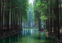 鹤舞湿地畔，高铁枕云霞|在盐城文港路，与格雅酒店共赴一场湿地与烟火之约