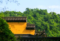 上万大学生“骑袭”开封，对中国文旅意味着什么？！