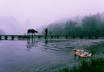 中国桐庐富春江影文旅教综合项目签约 总投资60亿元