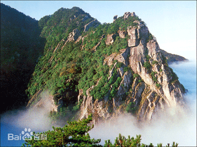 关于2025年庐山风景区自媒体创作者优免措施及奖励办法！