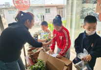 山海关景区金秋菊展全民认养菊花活动如火如荼开展中