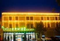 青皮树酒店，自由行走风景独好的喀什   