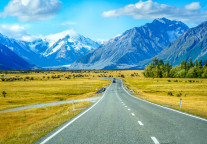 五一最受宠的“旅游搭子”是谁？