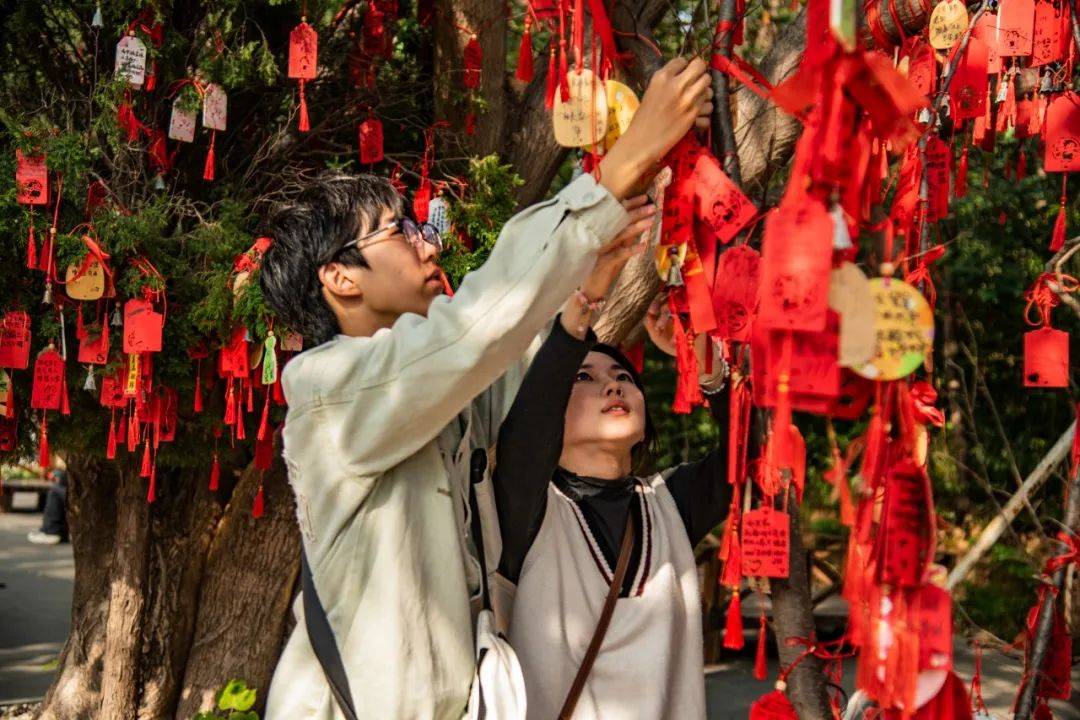 520甜蜜书写 || 山海关景区角山三行情书林下的美好时光