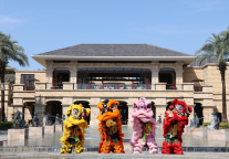 三亚海棠湾万达瑞华度假酒店大年初一舞狮贺新春 祥瑞醒狮舞动蛇年新气象