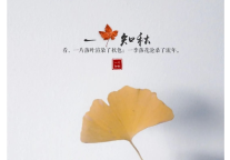 雅阁酒店集团|知秋尝鲜，尽在莲花山雅阁璞邸酒店