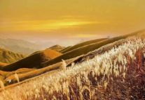 金秋武功山，冲就完事儿~（内含攻略）