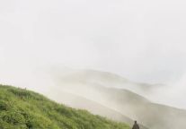 我爱了！来了武功山景区才知道雨后云海有多绝~