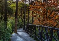 江西三清山景区：国庆游人如织 旅游秩序井然