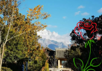 雅阁酒店集团|相约魅力云南丽江，尽在雅阁度假酒店