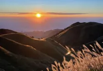 持续关注！中央、省、市级主流媒体聚焦报道武功山景区这场新闻发布会！