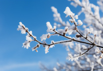同程旅行元旦假期首日数据：冰雪旅游热度上涨194%