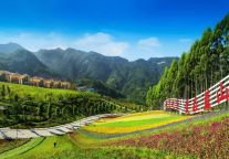 游漳州，“蛇”么都好 | 来十里蓝山，体验休闲生活