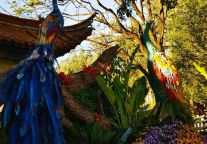 昆明、大理、丽江三地案例酒店有哪些特征