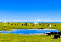 联合国：全球旅游业2024年 已恢复至疫情前水平