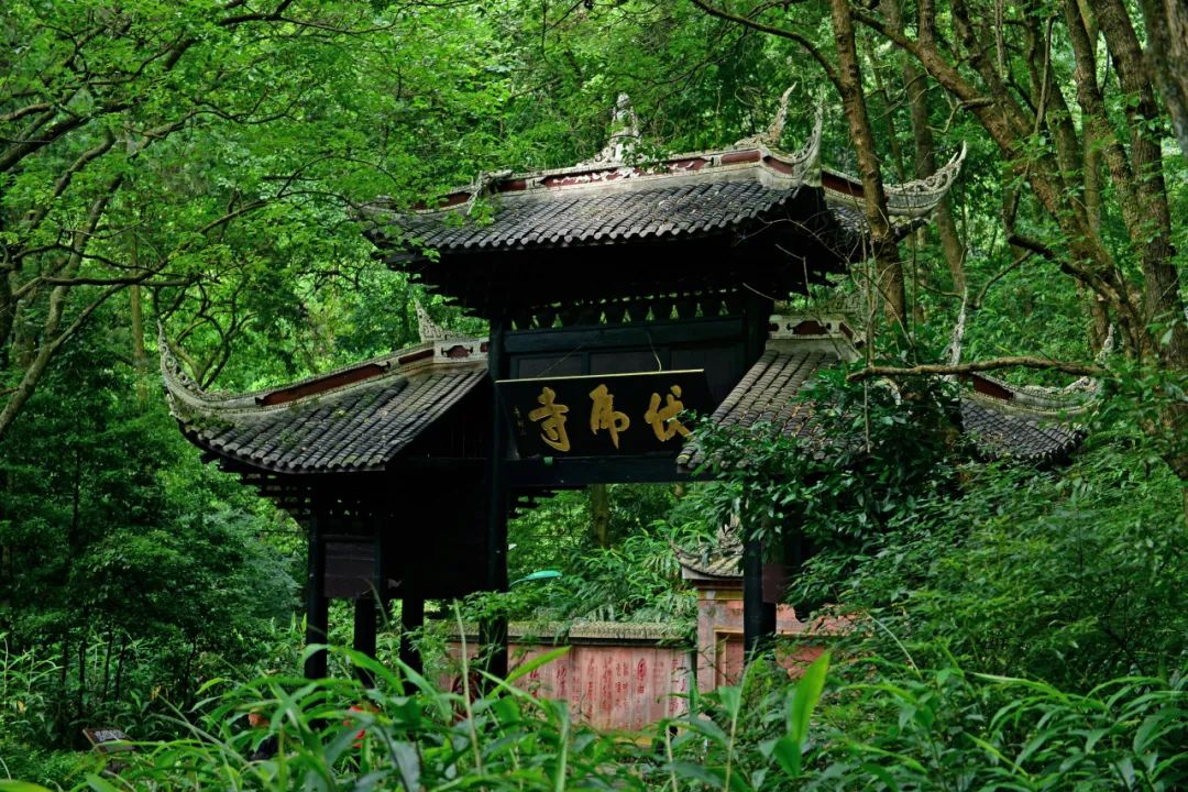 《黑神话》爆火！顶流“悟空”，峨眉山景区也有！