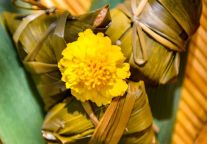 号外号外！云丘山景区又双叒有新活动啦！