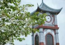 寻梦安仁古镇景区