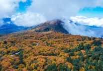 山地旅游出圈！峨眉山入选首批“世界旅游名山”