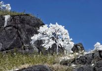 今日小雪！来武功山，见面聊~