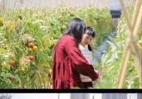 泉州富力万达文华酒店“酸甜「茄」意，记录自然”地球一小时亲子特别活动