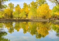 合力打造“古今飞天”研学品牌 高途文旅与酒泉文旅签署战略合作协议