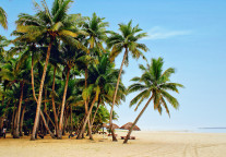 西建大设计院中标三亚湾康莱德酒店项目