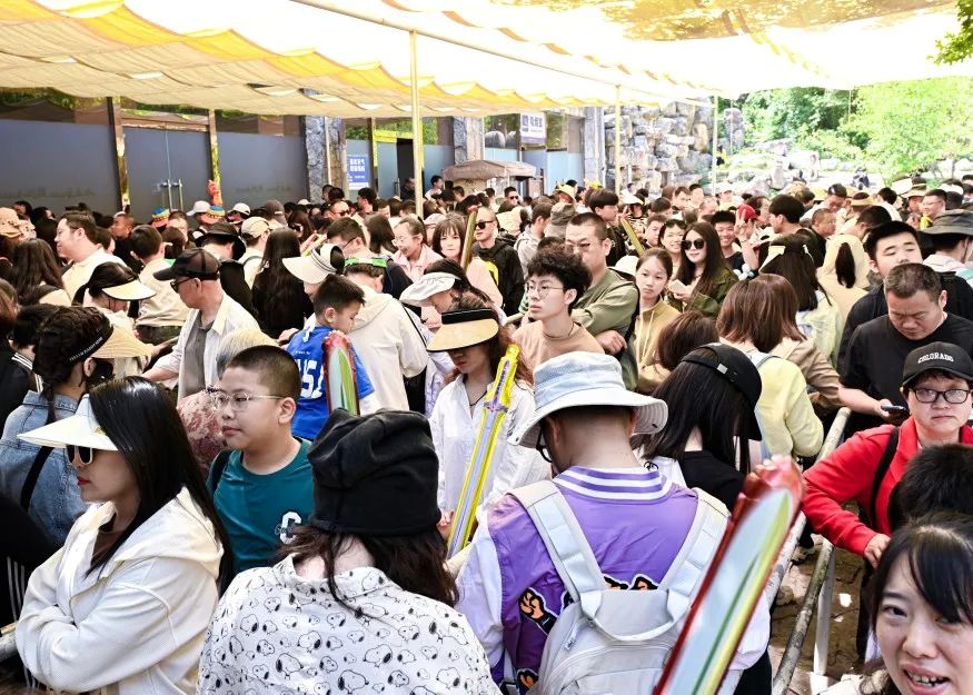 云丘山五一假期完美收官！精彩不止于此，欢乐仍在继续！