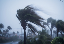 应对海南超强台风：华住各大酒店全力保障住客安全，提供暖心服务