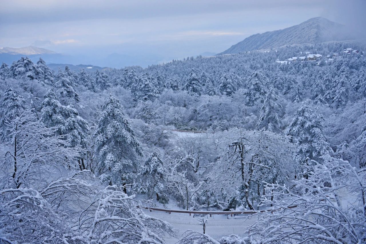 “全糖加冰”模式开启，只有峨眉山！