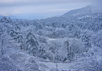 “全糖加冰”模式开启，只有峨眉山！