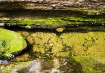 云南中行牵头授信7.7亿支持东风韵景区