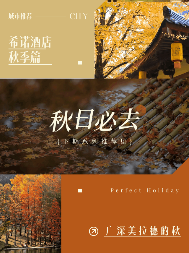 7ee8acdec9fbf3575c5dd9c87874846c.png