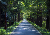 丽呈集团与上海苏普利合作推出“负氧离子房”