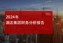 2024年酒店集团财务分析报告