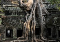 柬埔寨2024年旅游业创收36.3亿美元，同比增长18%