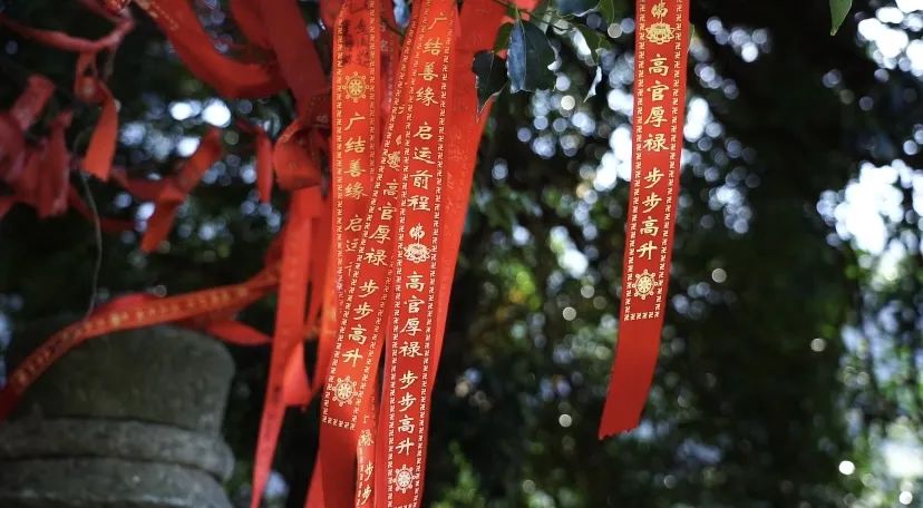 “有缘千里来相会”|快来参加武功山景区的祈福庙会！