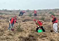 兰州富力万达文华酒店参加植树公益行活动