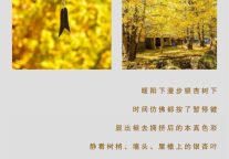 雅阁酒店集团|金秋大理洱海美景，尽赏一江秋色