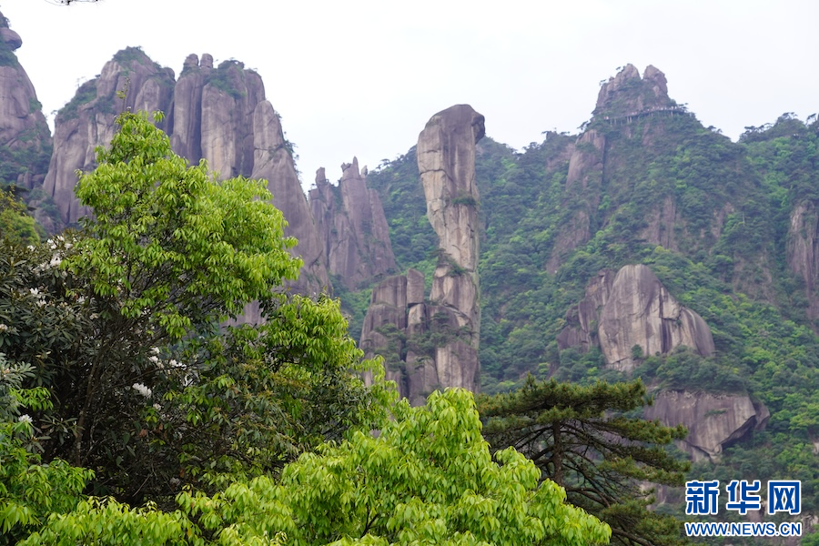 以花为主题，上饶“5·19中国旅游日”系列活动精彩纷呈