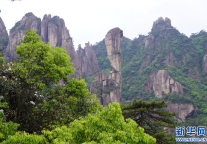 以花为主题，上饶“5·19中国旅游日”系列活动精彩纷呈