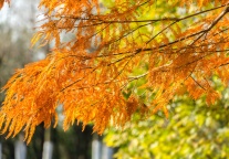 去哪儿：旅游市场进入淡季 机票平均支付价格下降四成