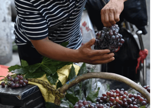 WOW！被西安美食“硬控”啦！