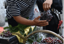 WOW！被西安美食“硬控”啦！