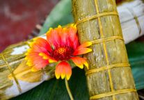 端午节最放“粽”！云丘山整又”新花样“？还不来看看！