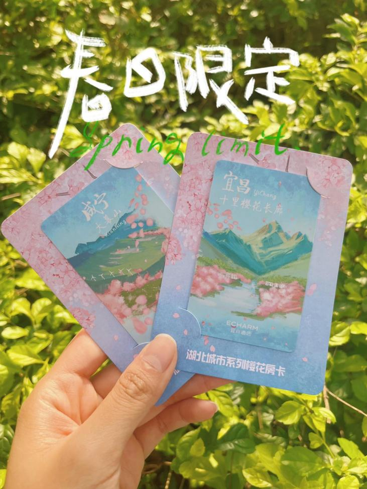 图片 4.png