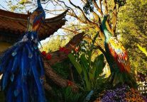 习近平考察云贵：文旅产业要走一条持续、健康的发展之路